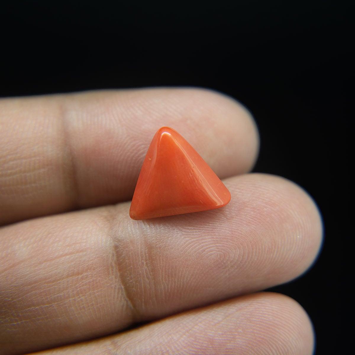 Red Coral - 6.14 Carat