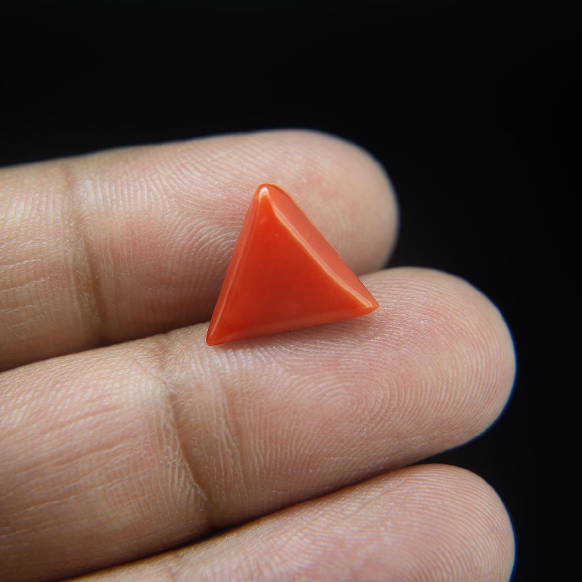 Red Coral - 5.46 Carat