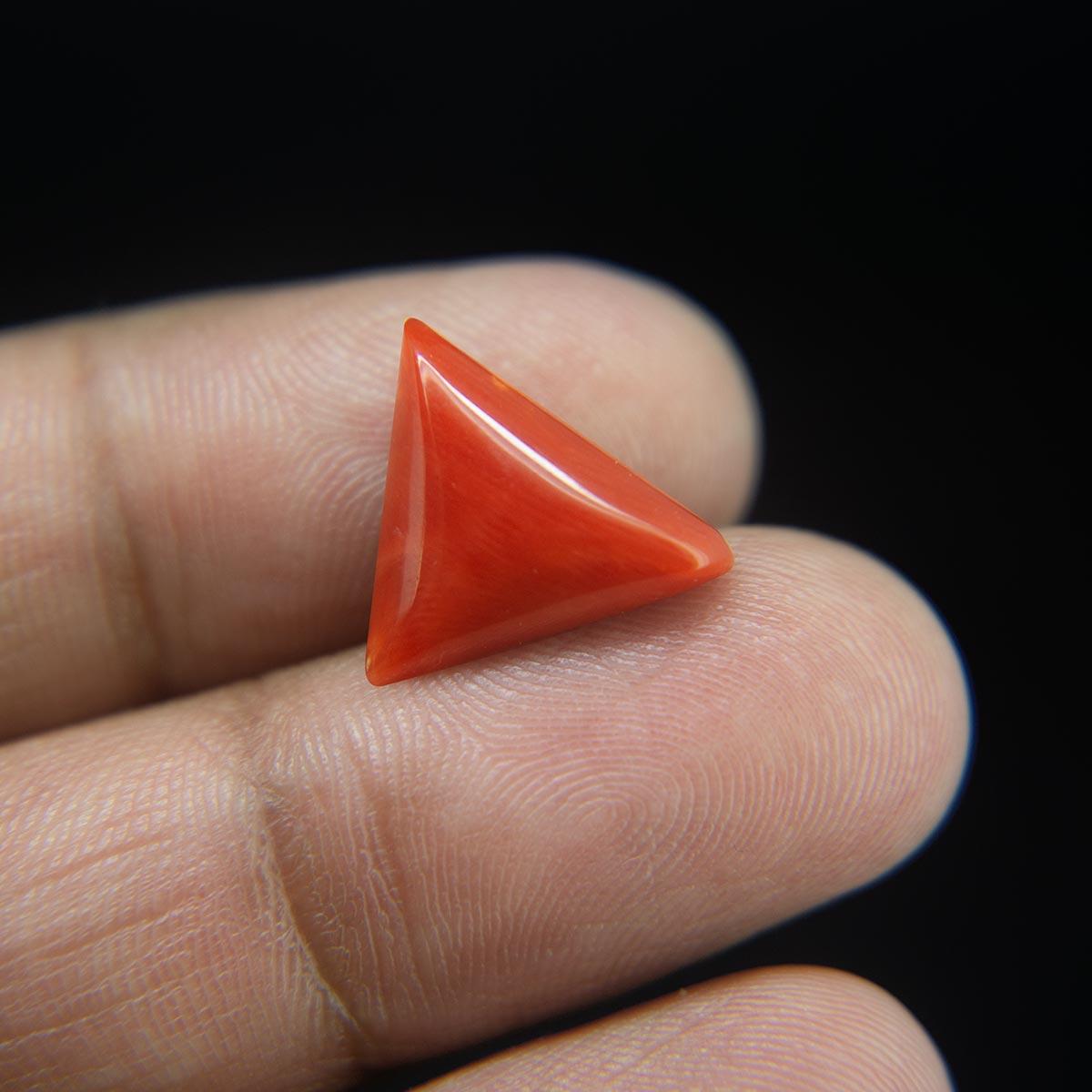 Red Coral - 5.78 Carat