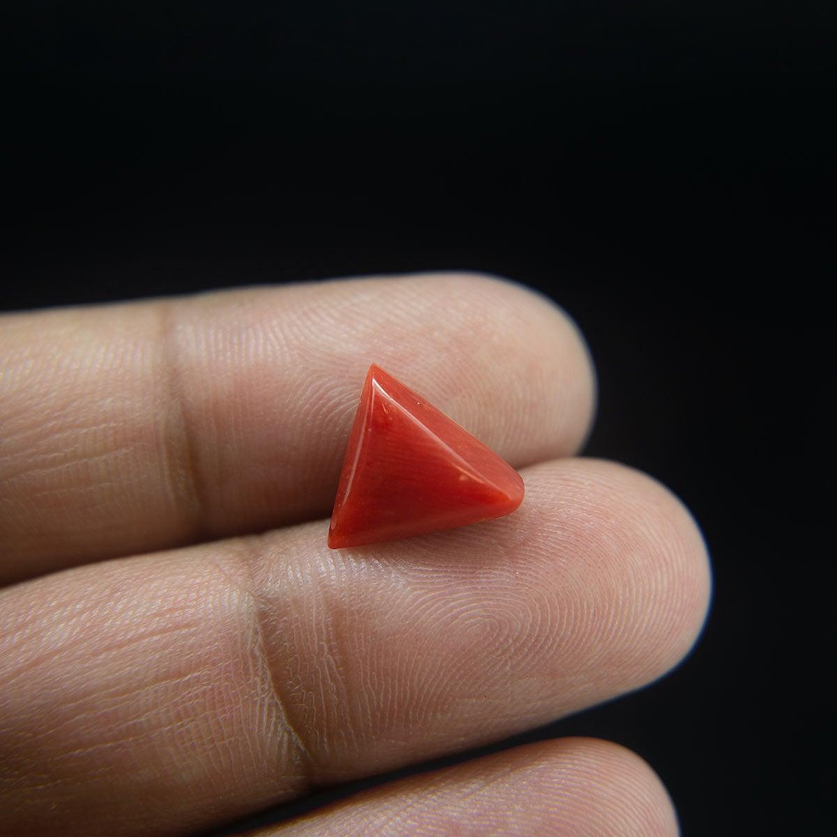 Red Coral - 3.85 Carat