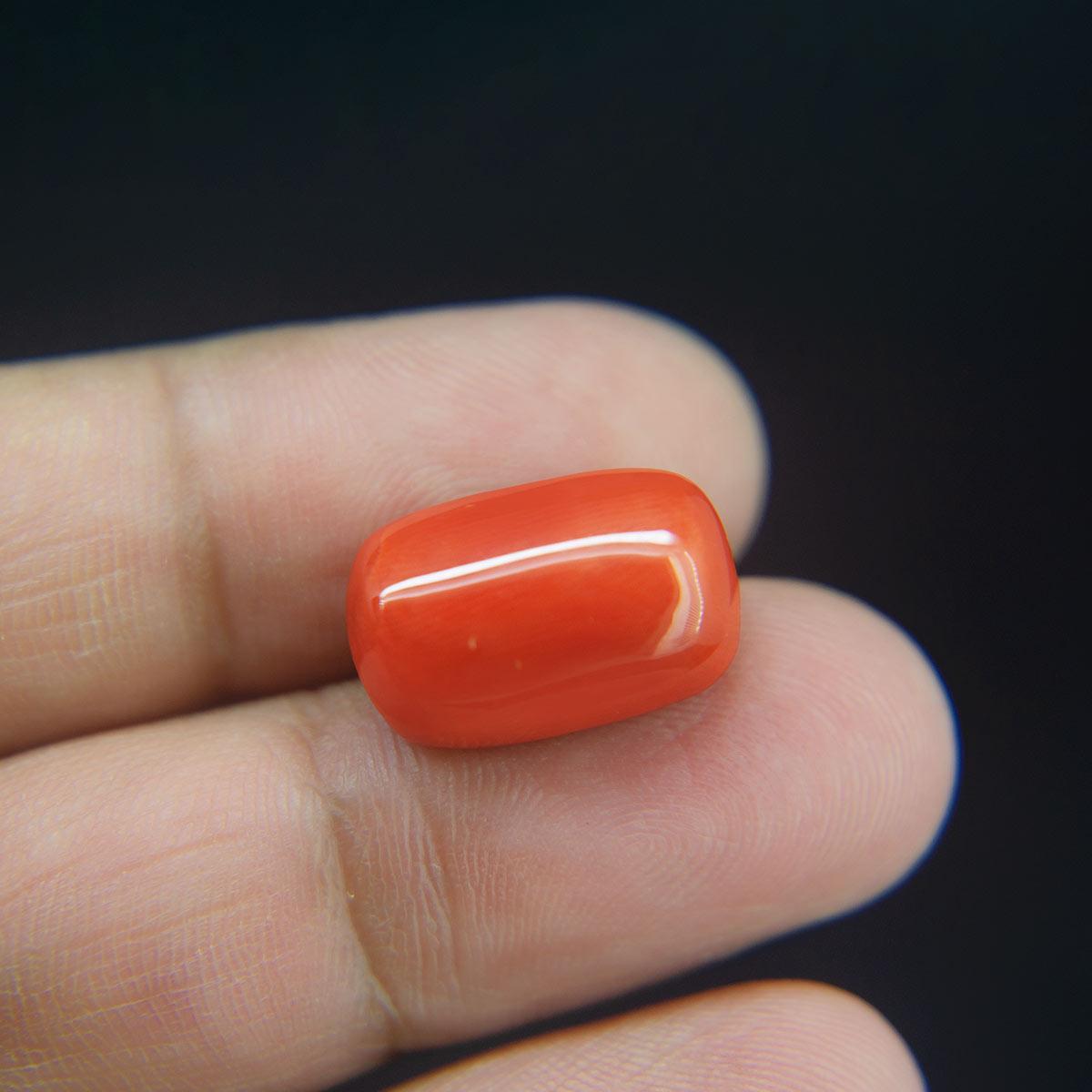 Red Coral - 18.00 Carat