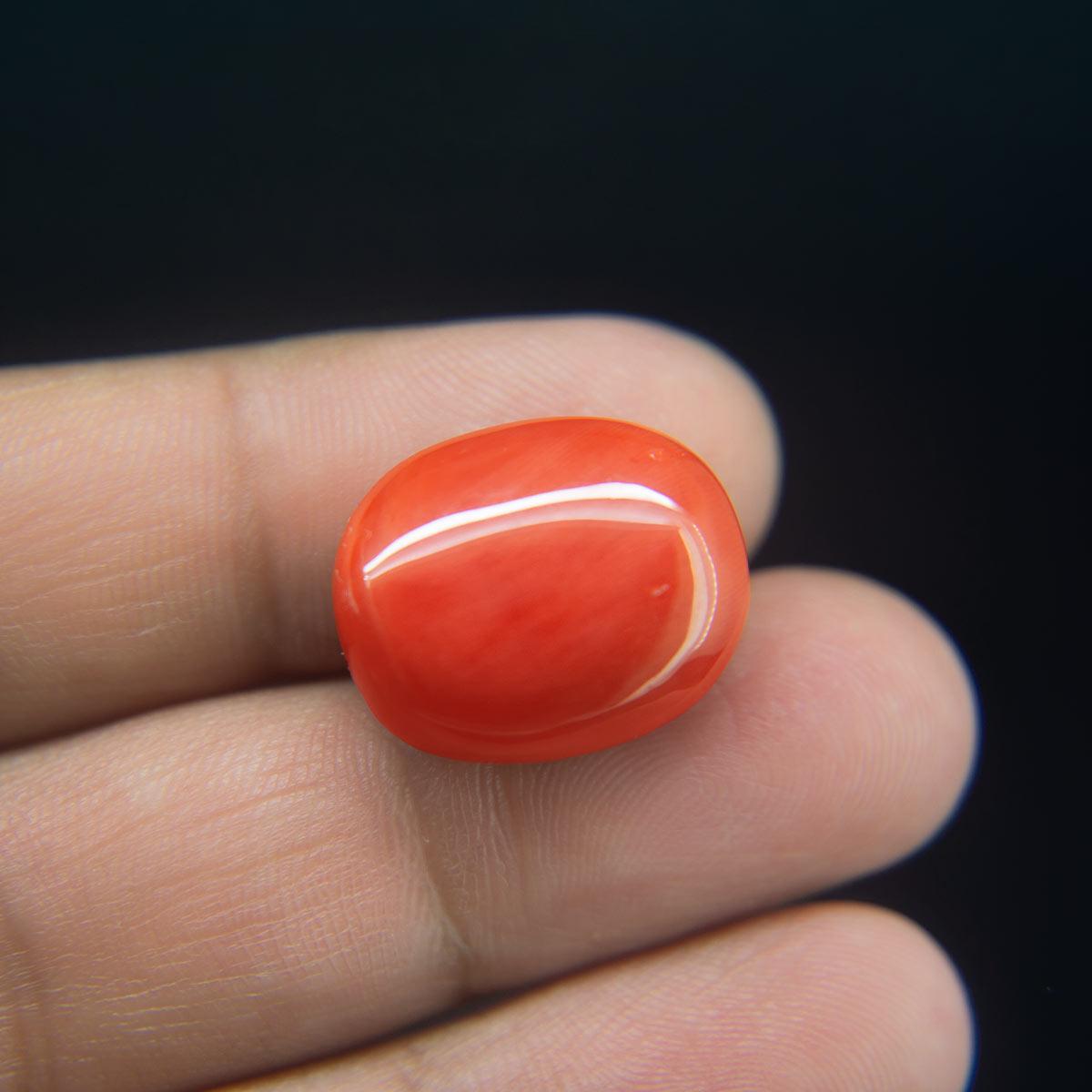 Red Coral - 22.27 Carat