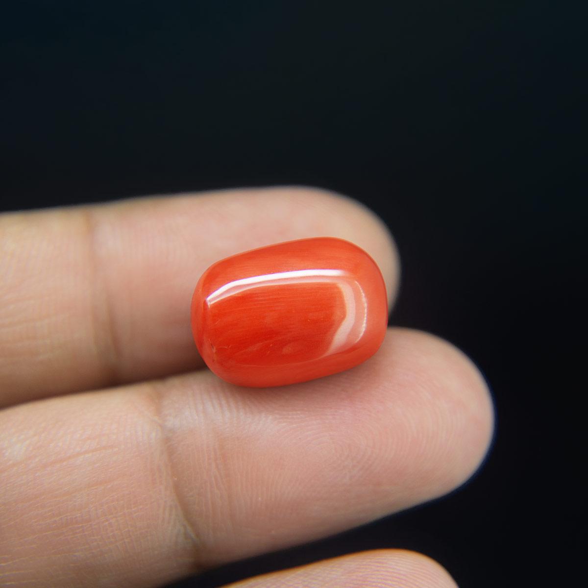 Red Coral - 16.86 Carat