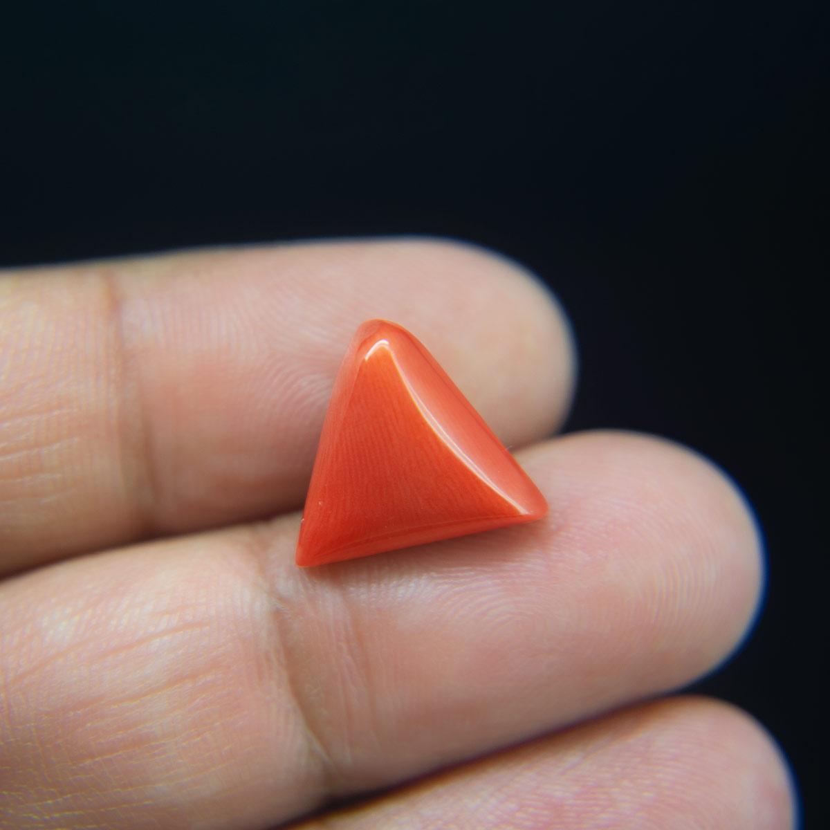 Red Coral - 8.39 Carat