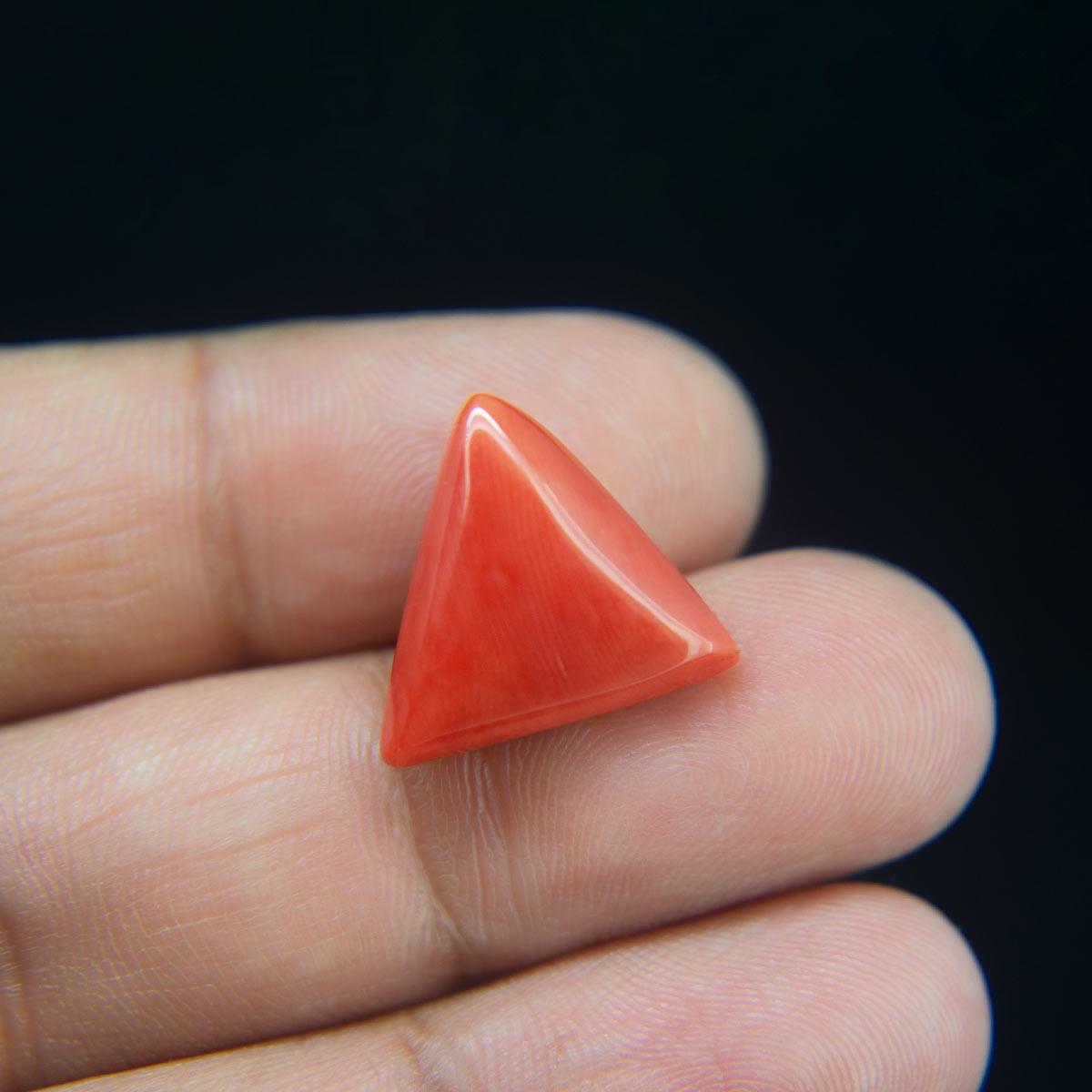 Red Coral - 13.30 Carat