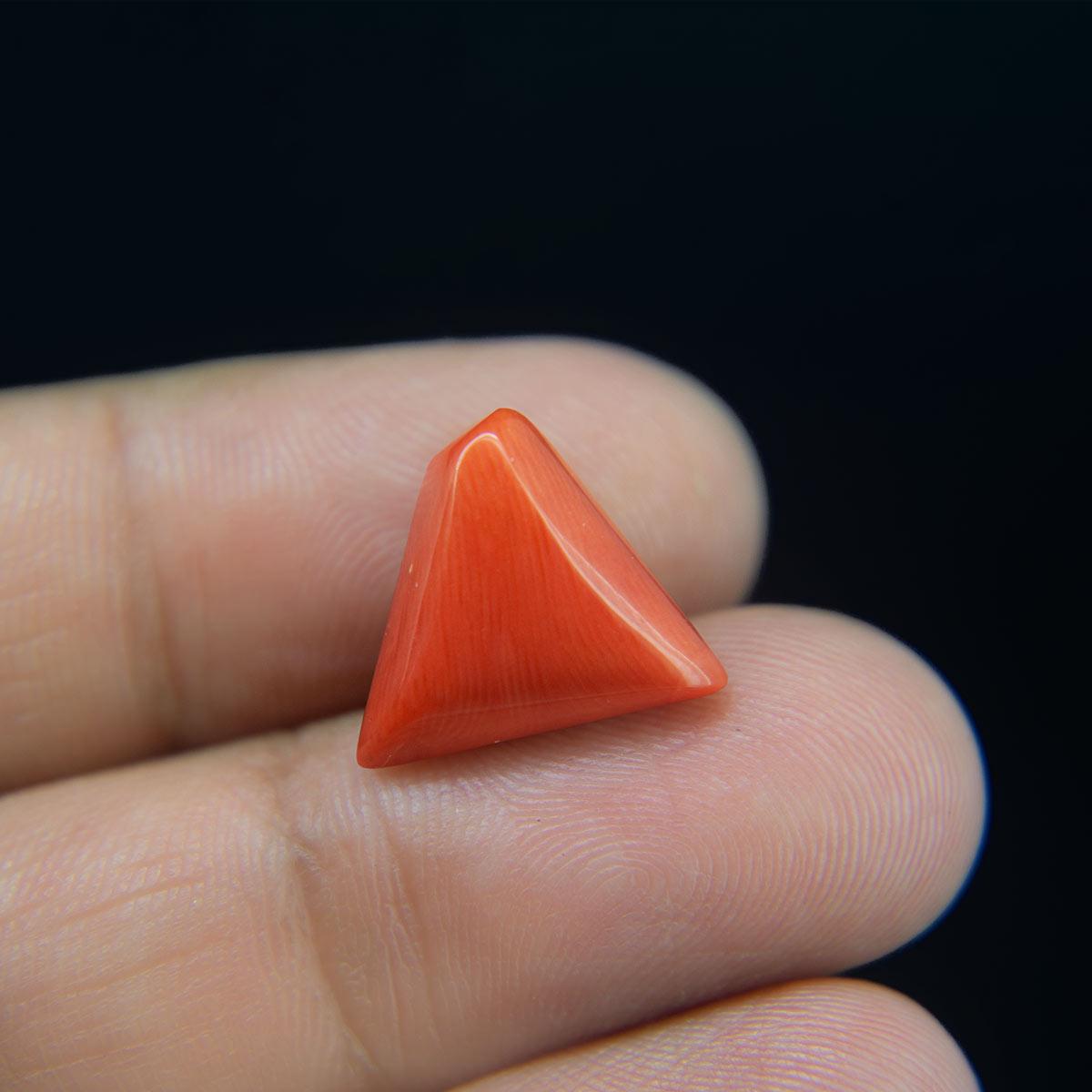 Red Coral - 8.60 Carat