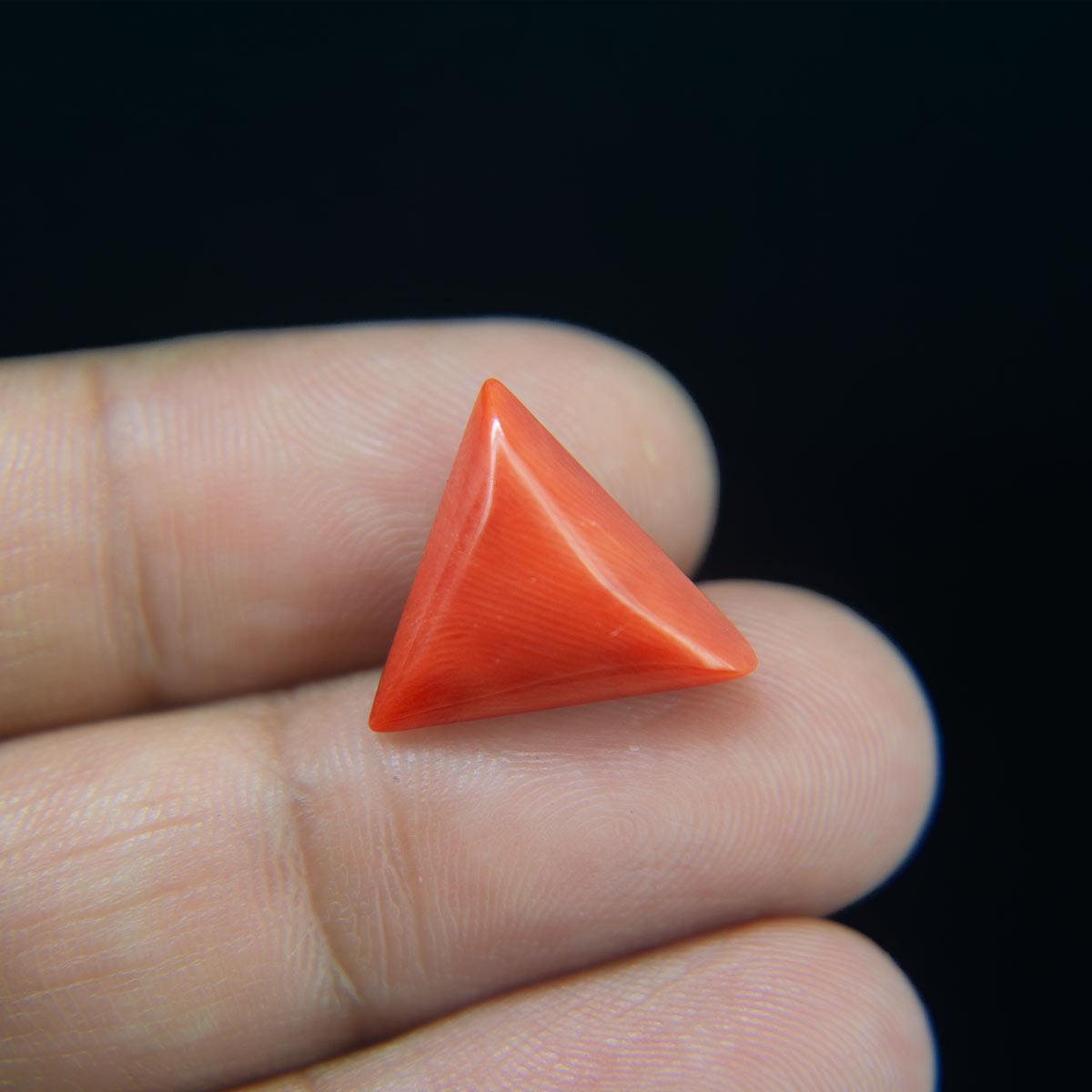 Red Coral - 8.65 Carat