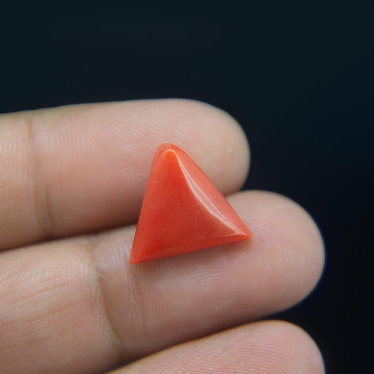 Red Coral - 8.00 Carat