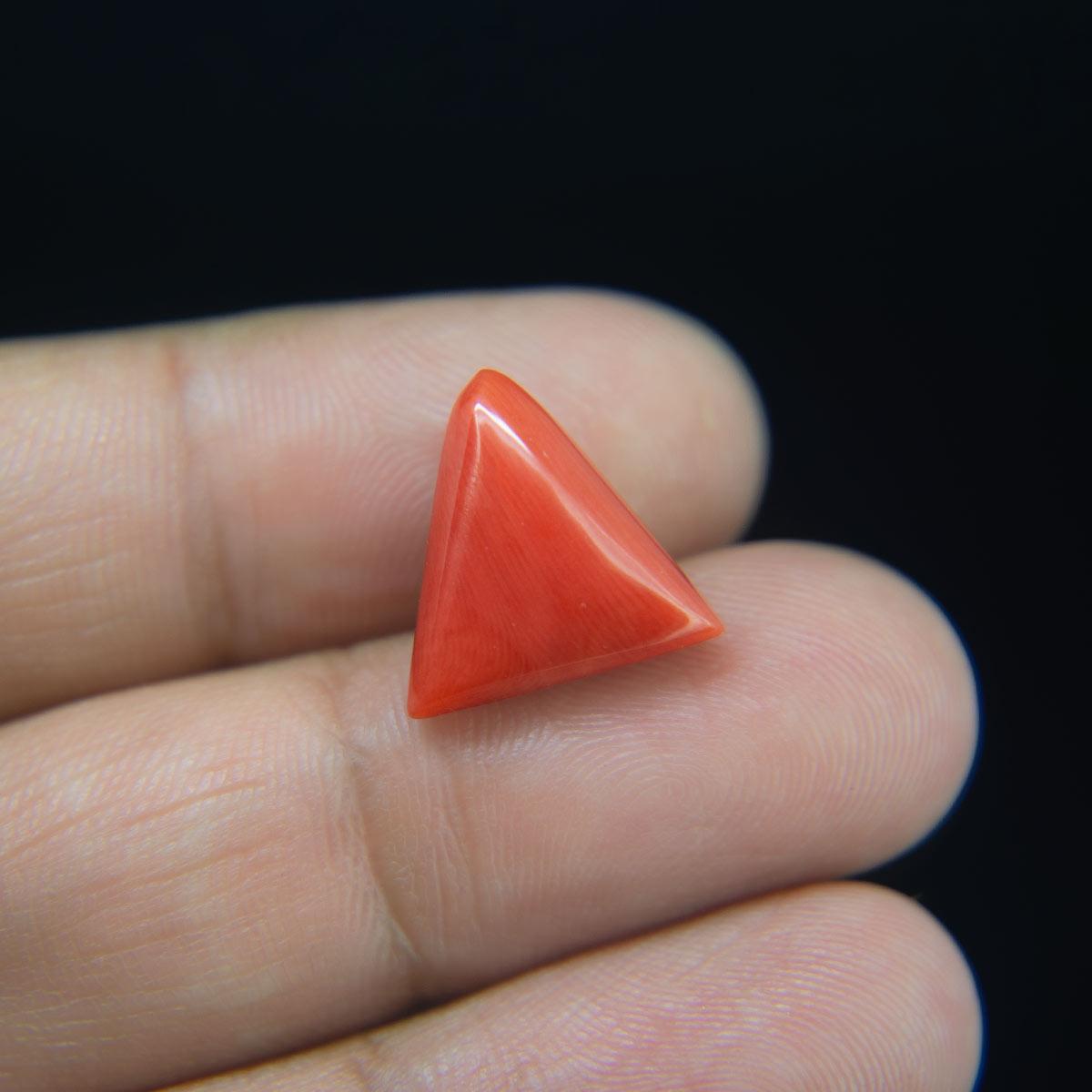 Red Coral - 9.26 Carat