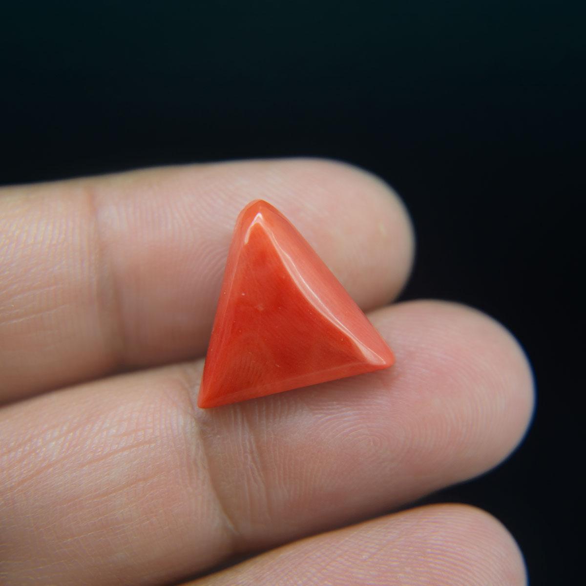 Red Coral - 11.18 Carat