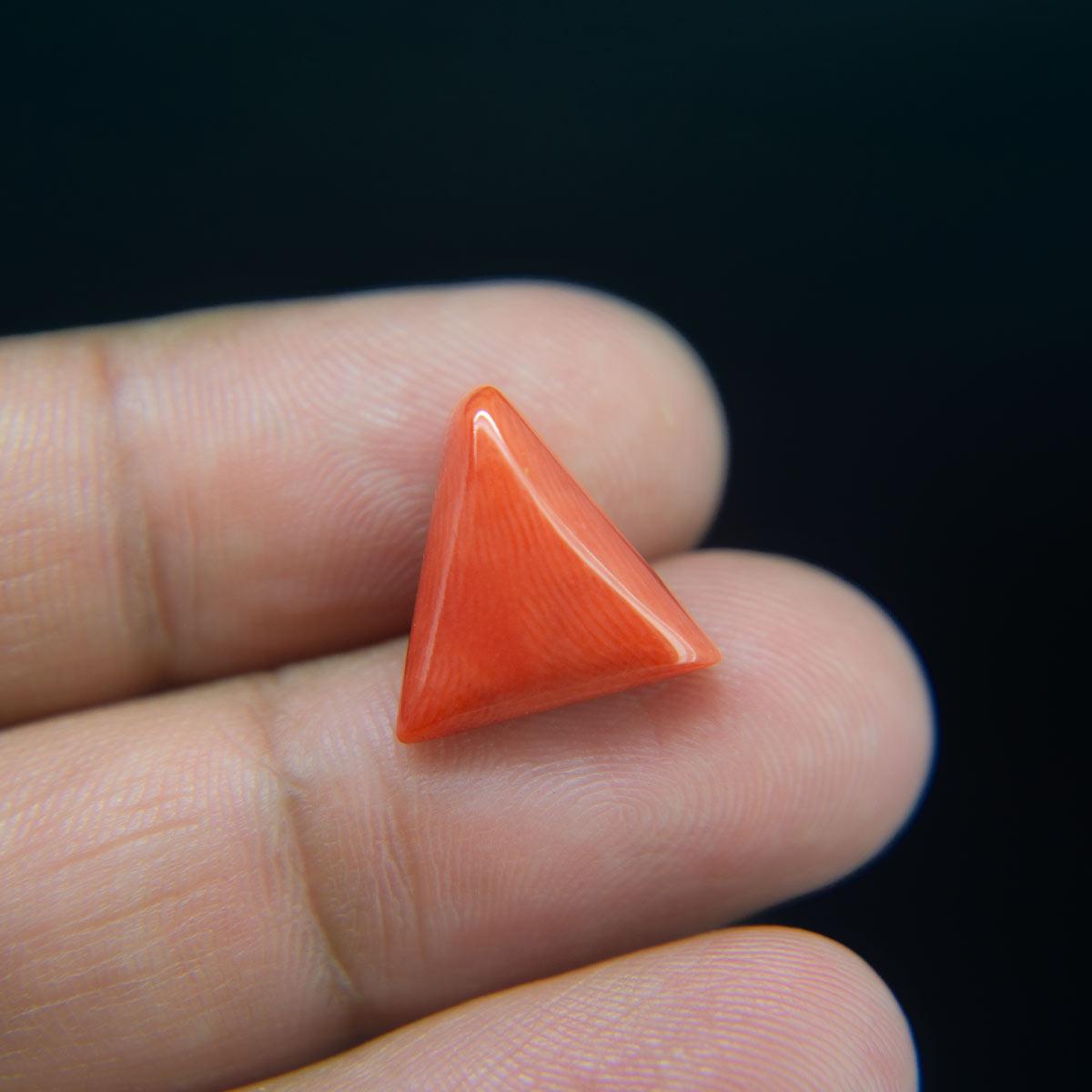 Red Coral - 8.04 Carat