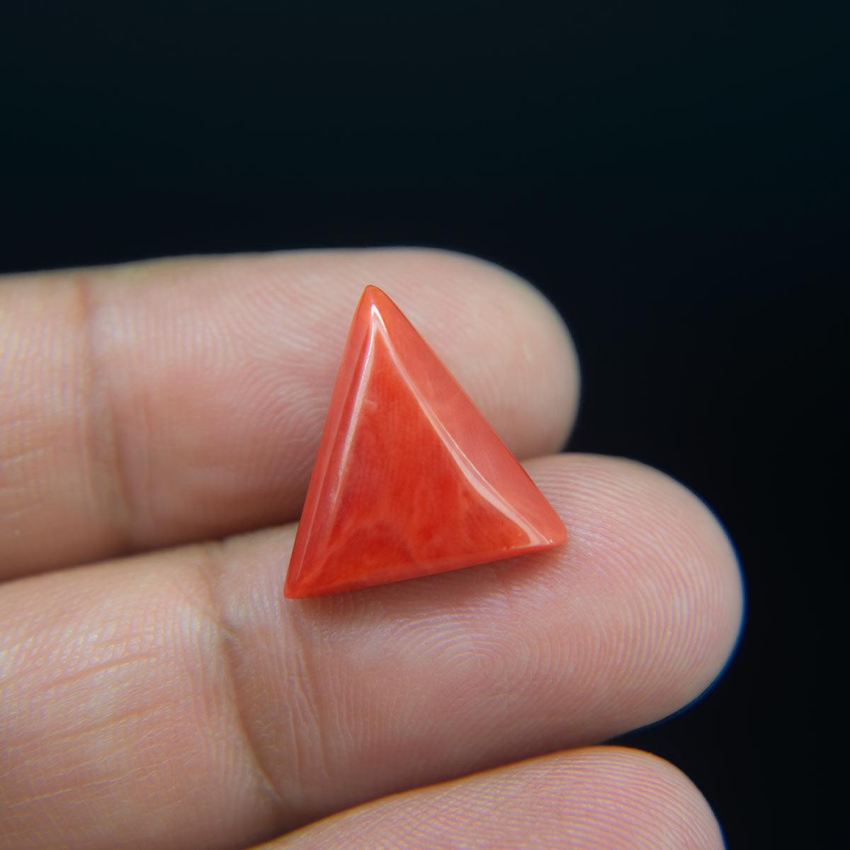 Red Coral - 8.23 Carat