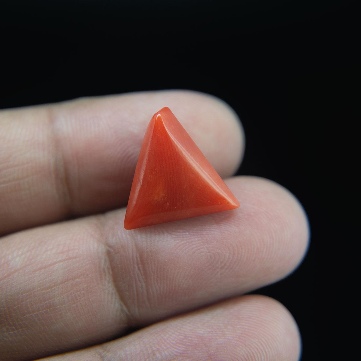 Red Coral - 8.72 Carat