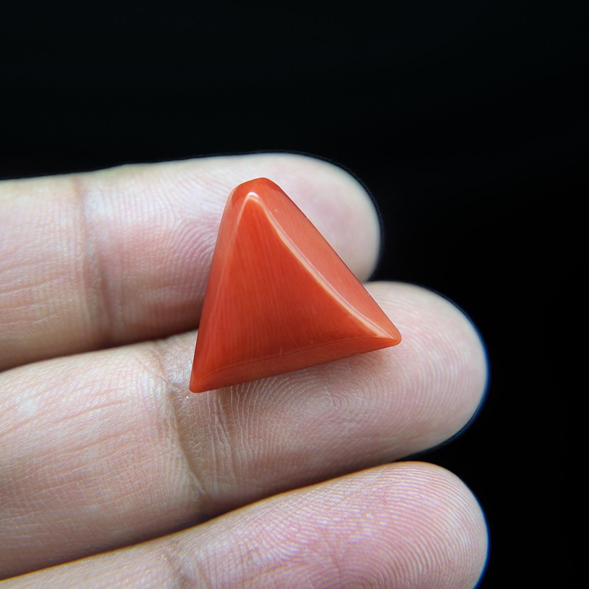 Red Coral - 13.43 Carat