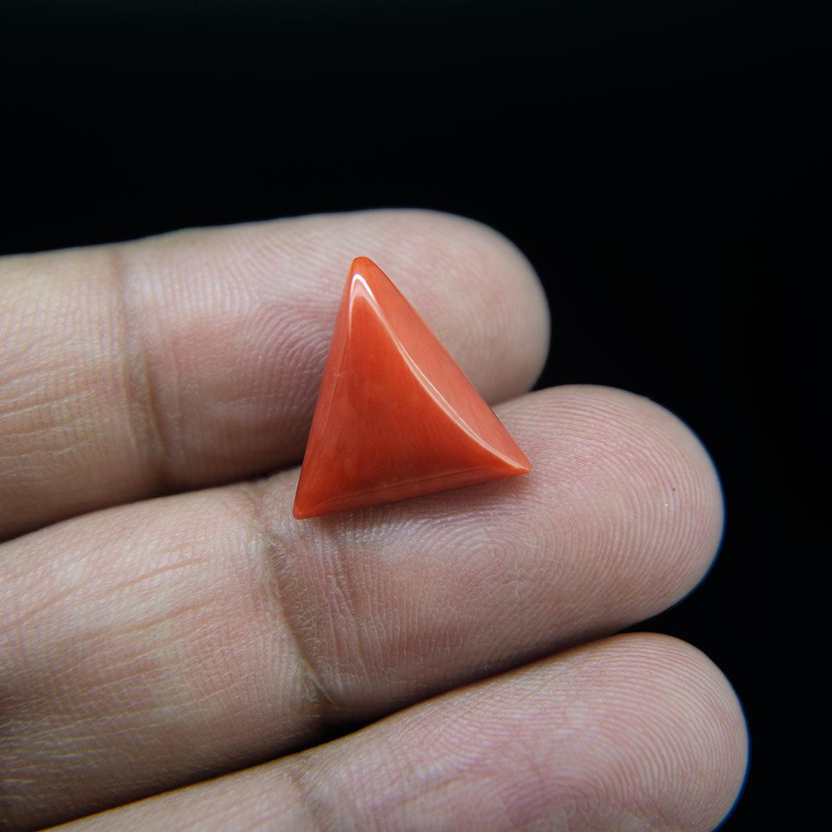 Red Coral - 7.29 Carat