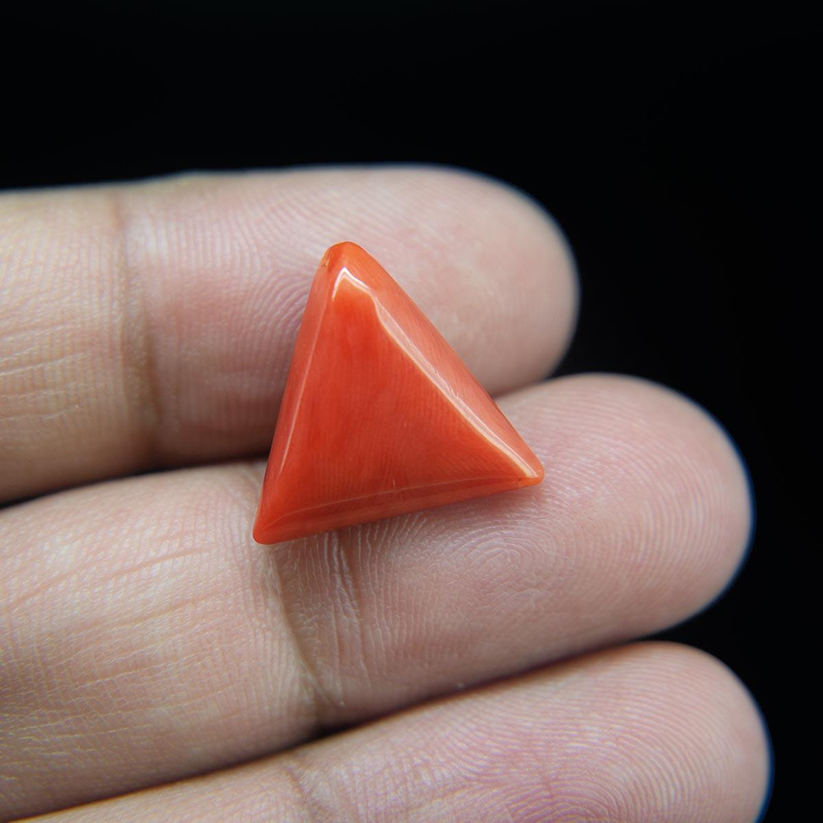 Red Coral - 9.84 Carat