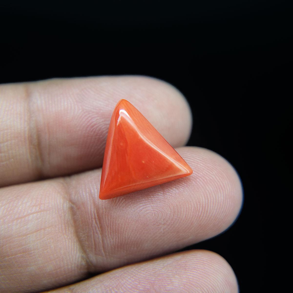 Red Coral - 7.97 Carat