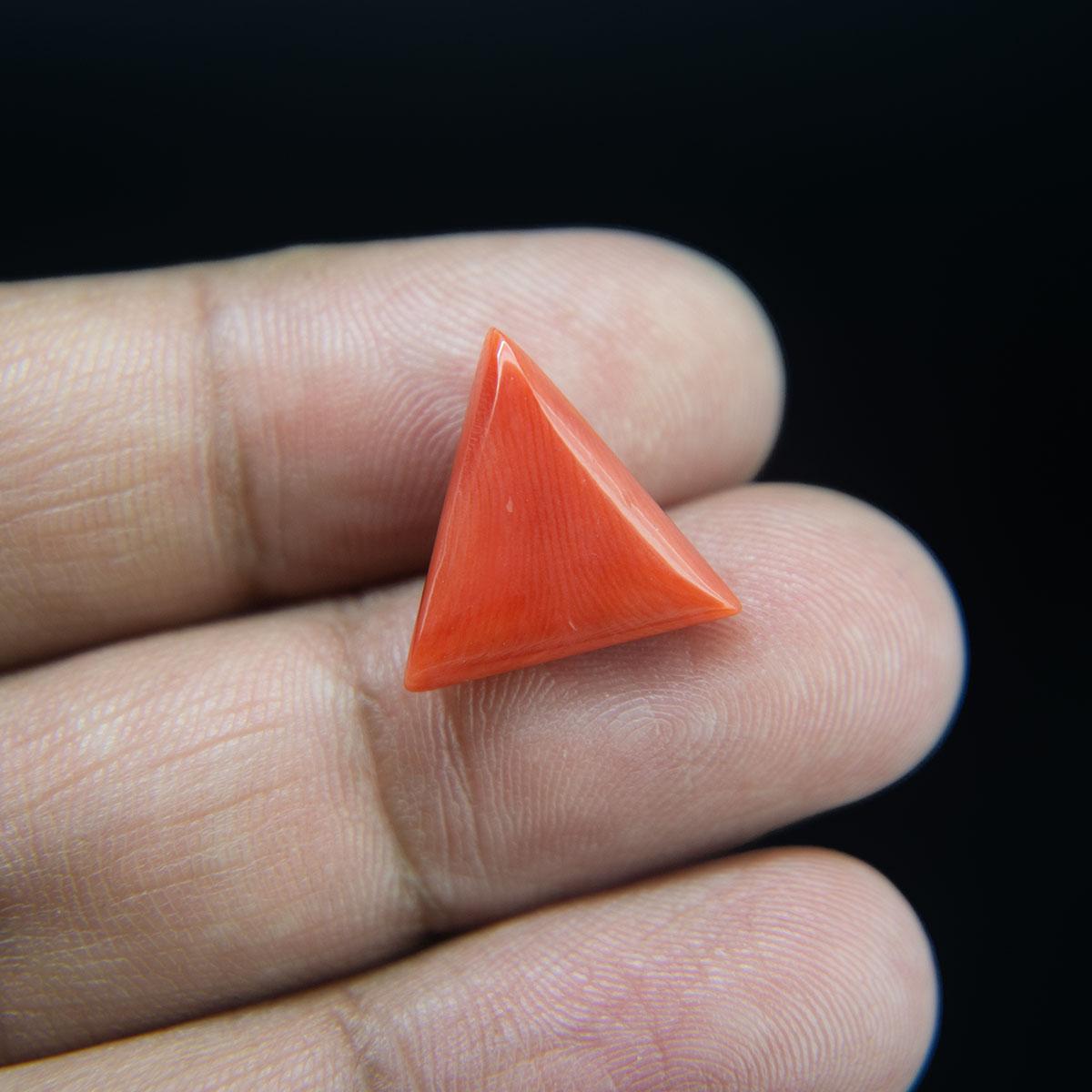 Red Coral - 7.48 Carat