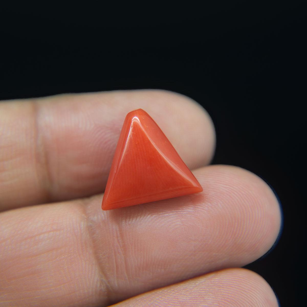 Red Coral - 10.07 Carat