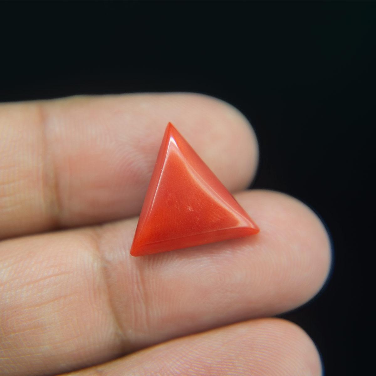 Red Coral - 8.87 Carat