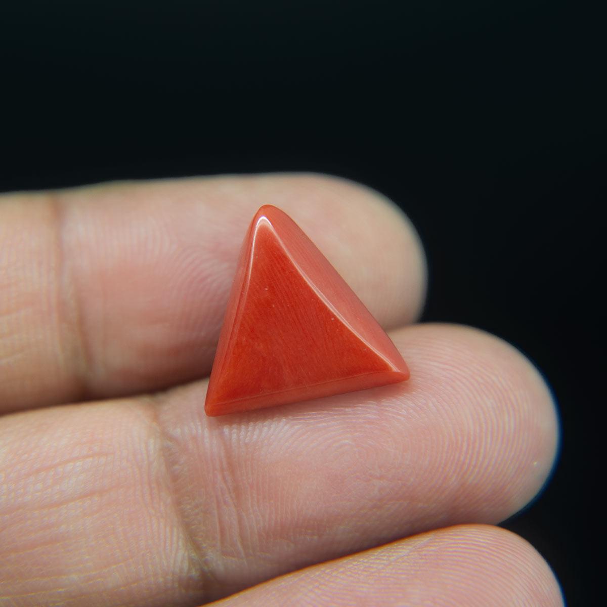 Red Coral - 8.07 Carat