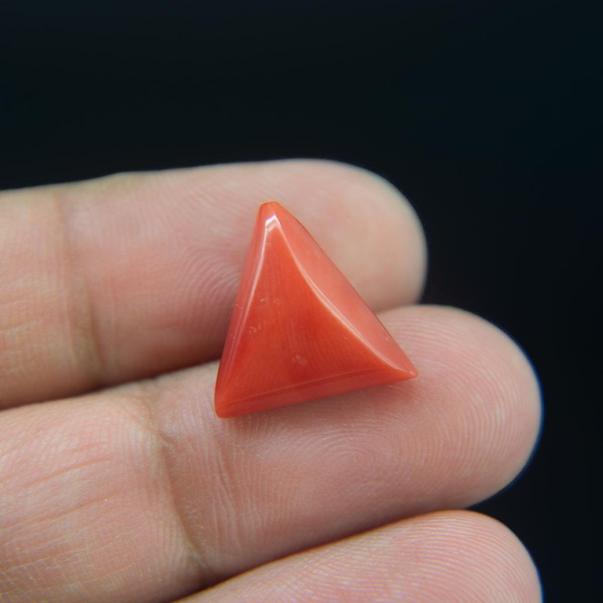 Red Coral - 9.31 Carat