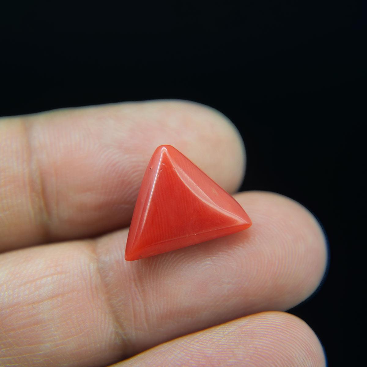 Red Coral - 8.47 Carat