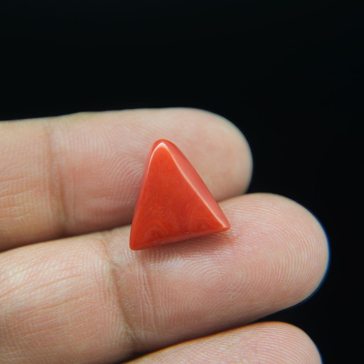 Red Coral - 7.34 Carat