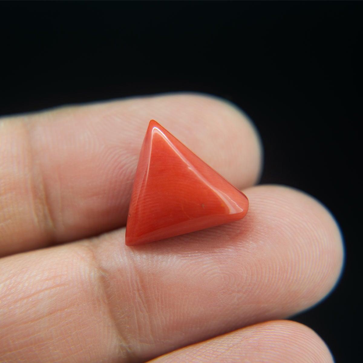Red Coral - 8.26 Carat