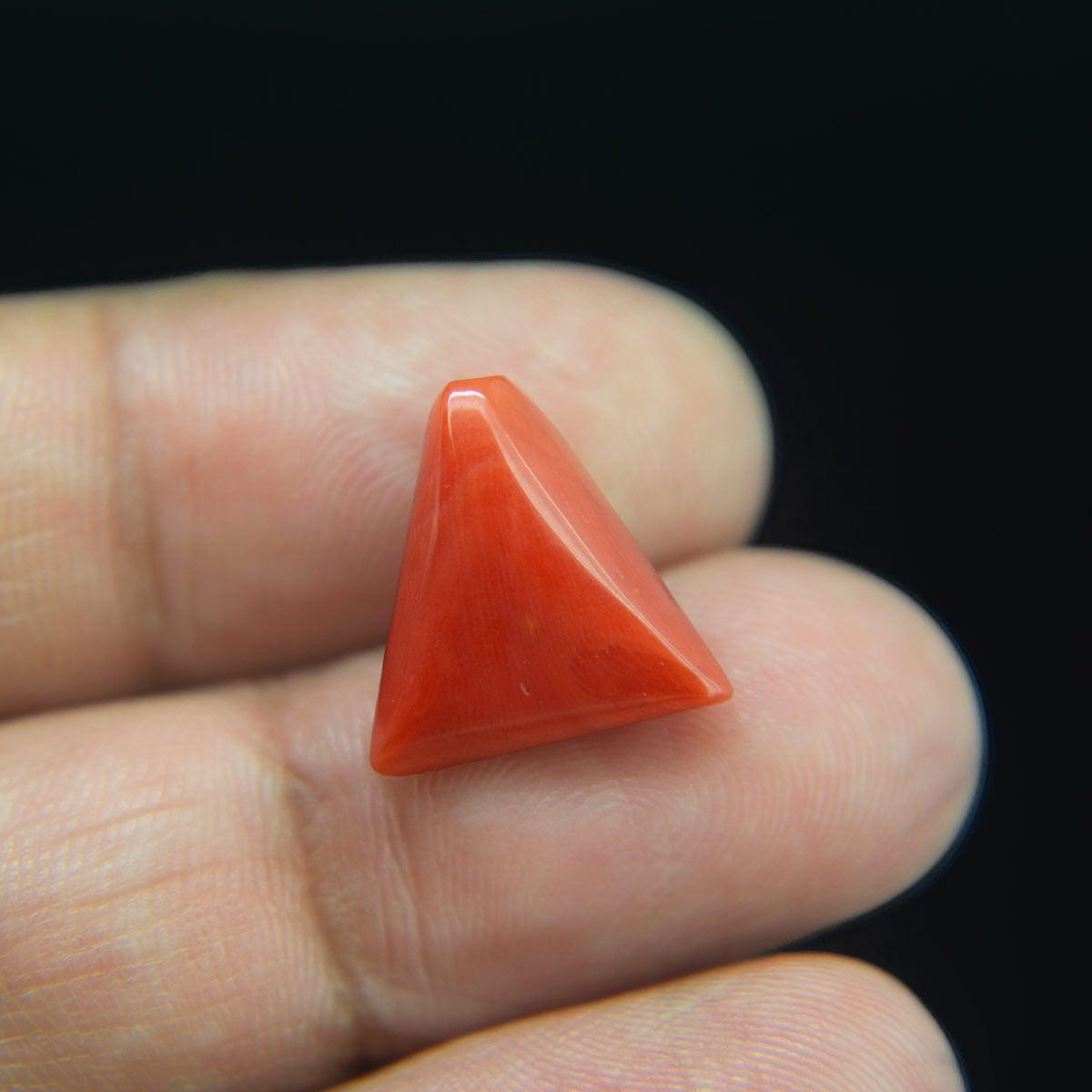 Red Coral - 8.54 Carat