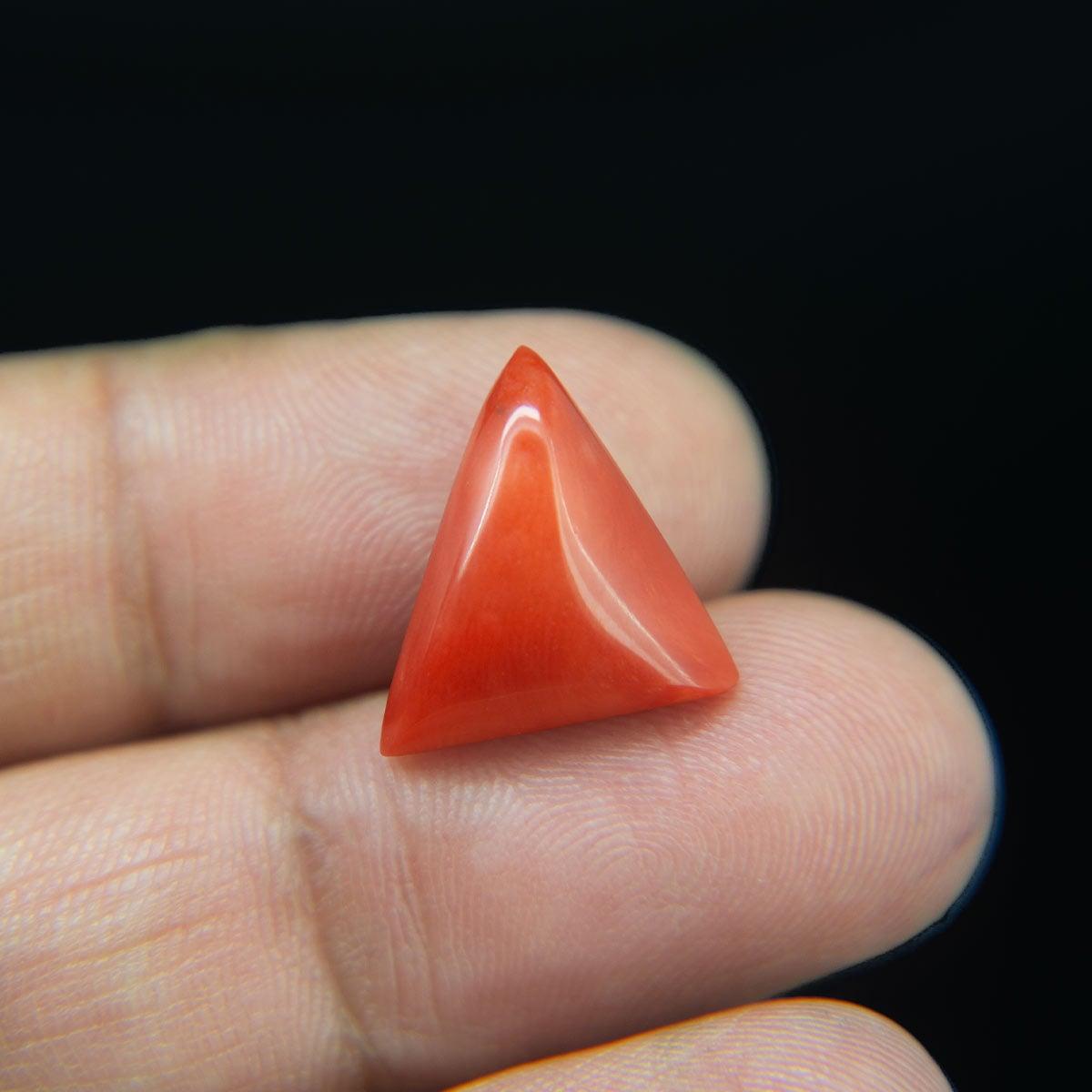 Red Coral - 8.63 Carat