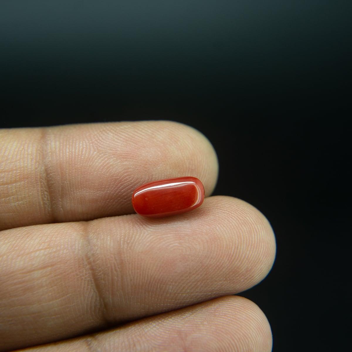Red Coral - 2.99 Carat