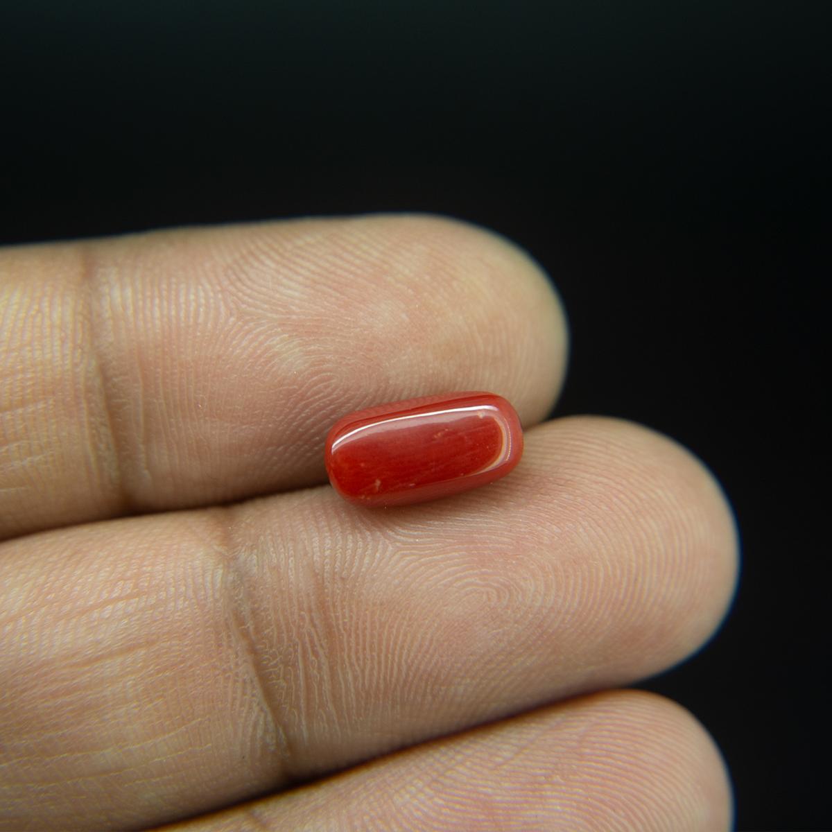 Red Coral - 2.76 Carat