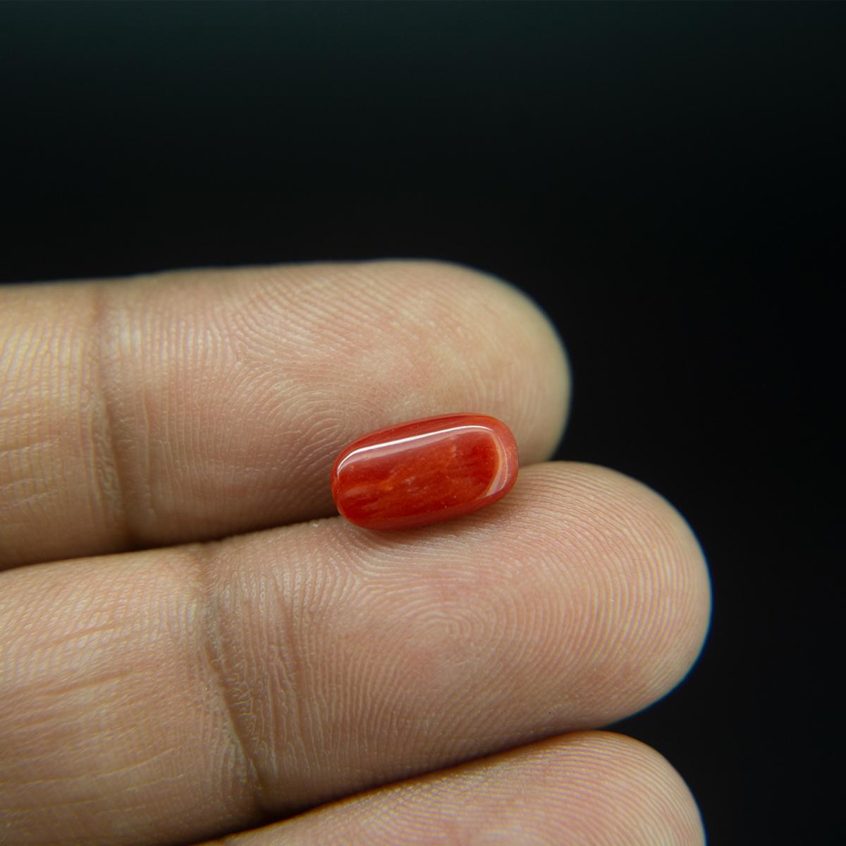 Red Coral - 3.33 Carat