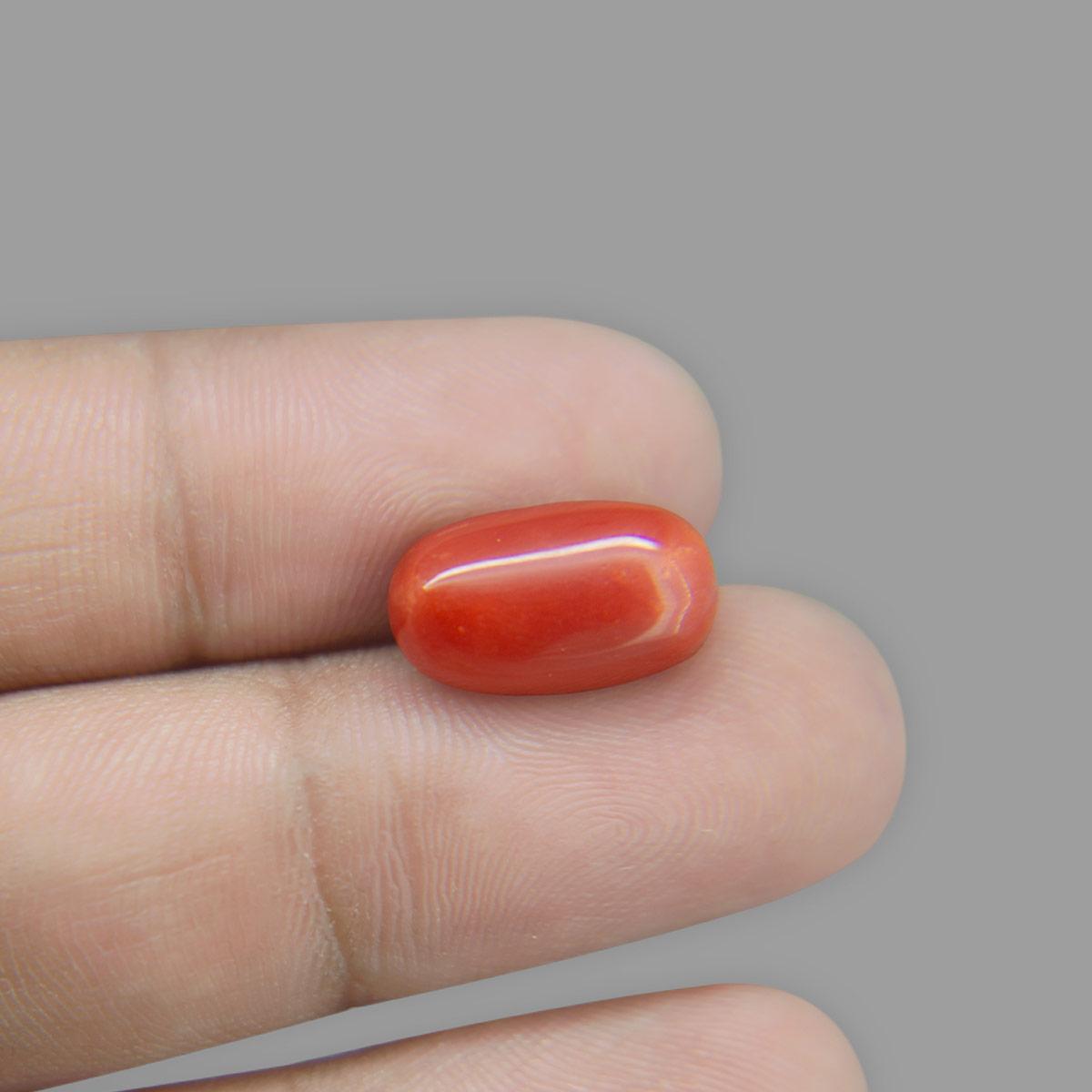 Red Coral - 9.75 Carat