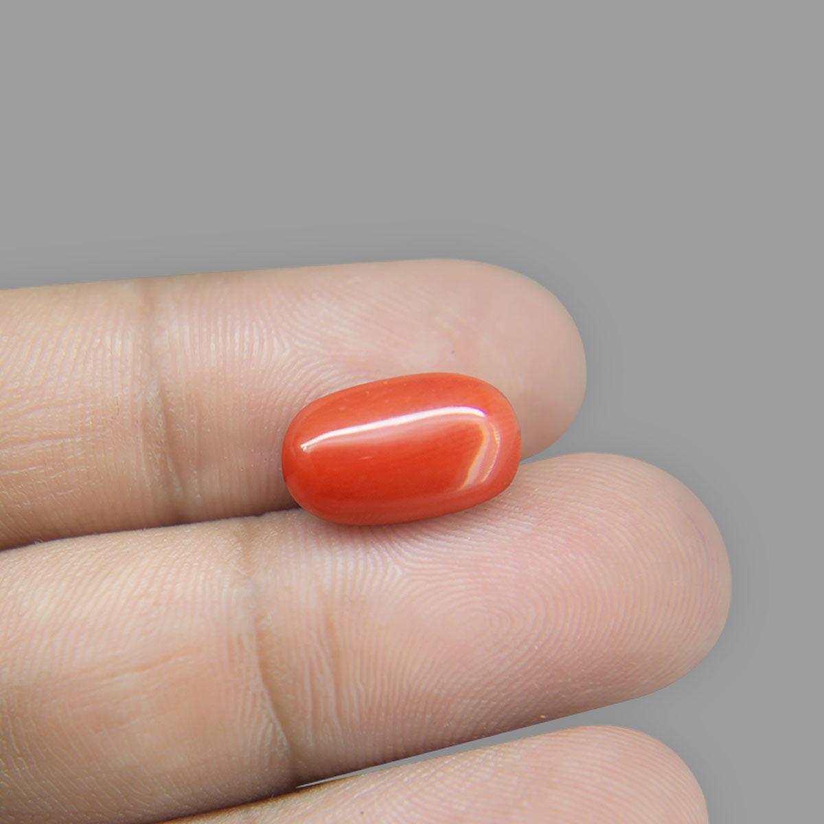 Red Coral - 9.24 Carat