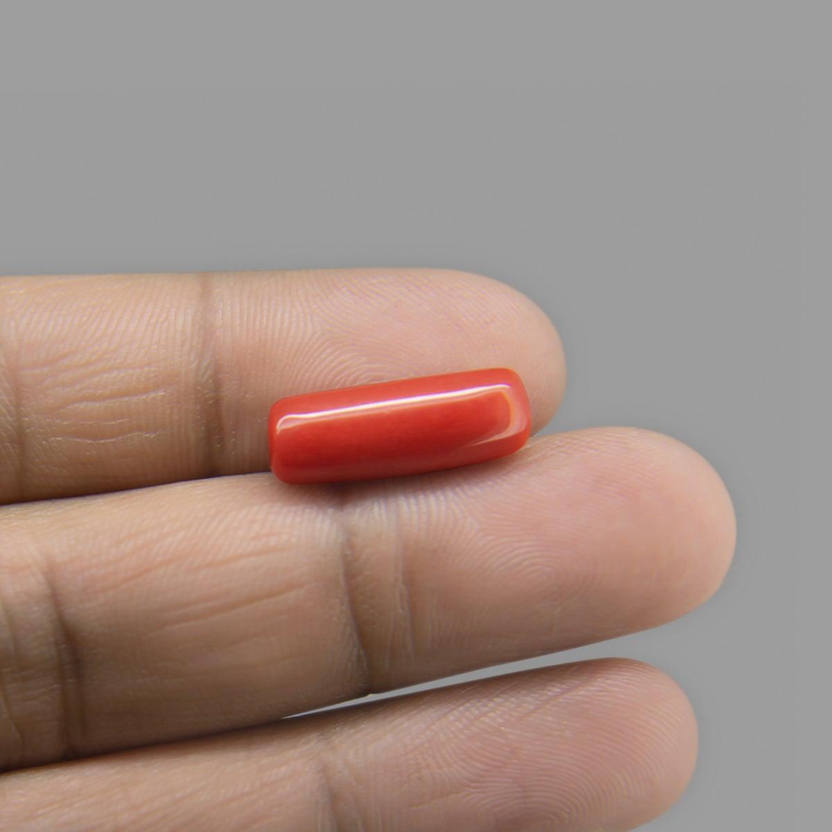 Red Coral - 5.80 Carat