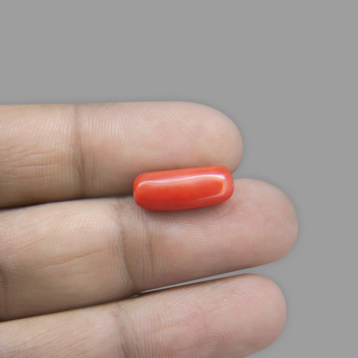 Red Coral - 5.88 Carat