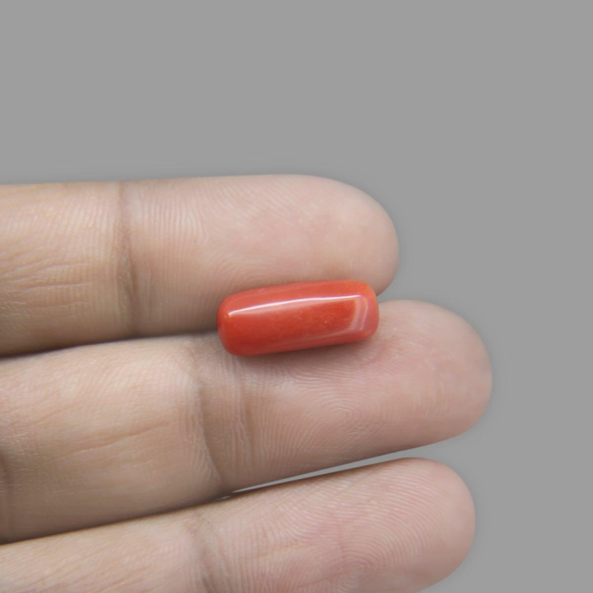 Red Coral - 8.15 Carat