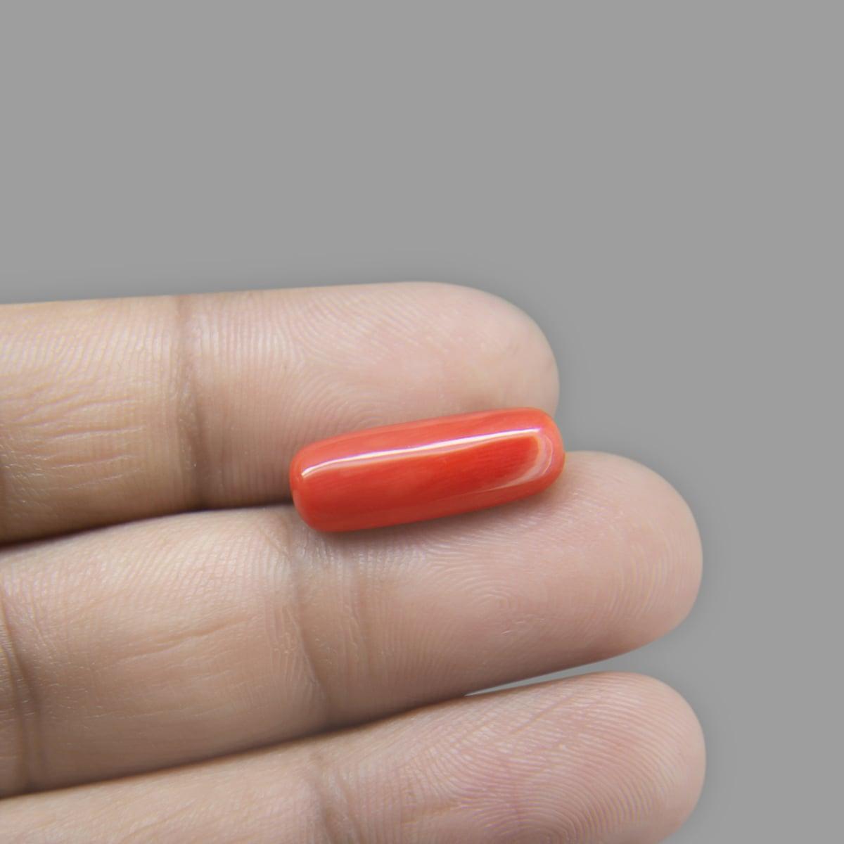 Red Coral - 6.39 Carat