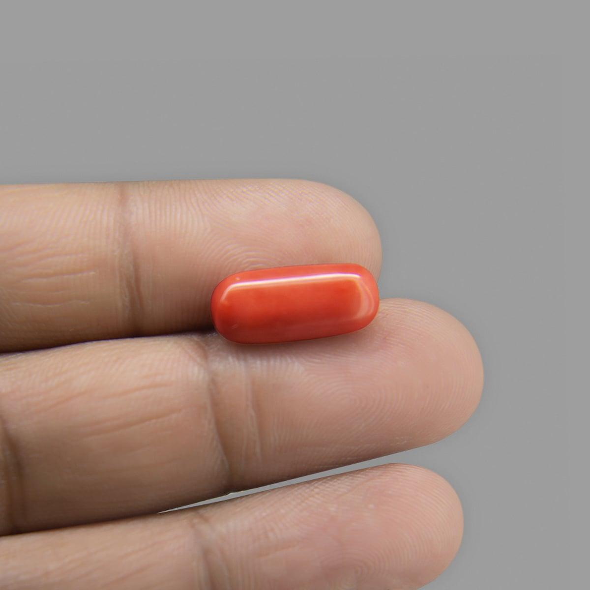 Red Coral - 8.13 Carat