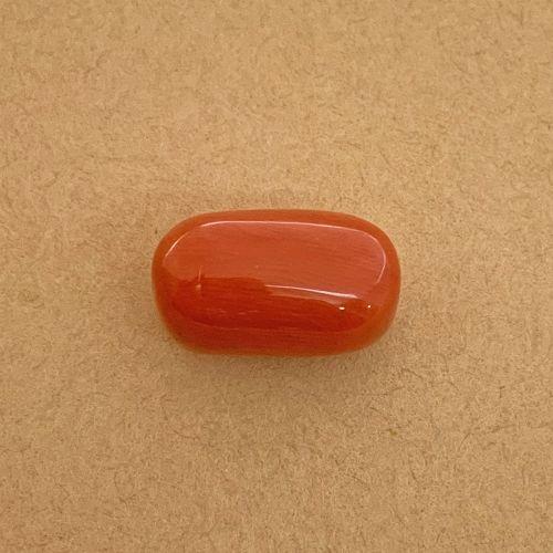 Red Coral - 15.00 Carat