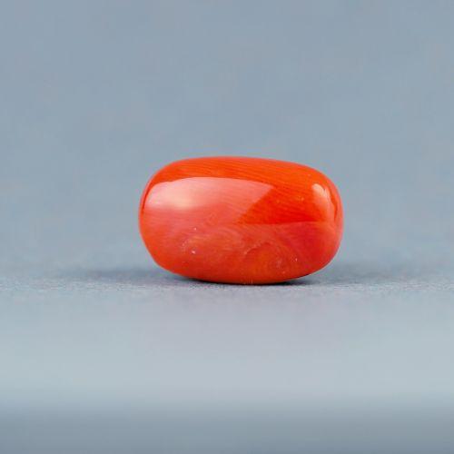 Red Coral - 11.03 Carat
