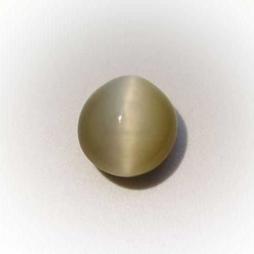 Cat's Eye - 3.44 Carat