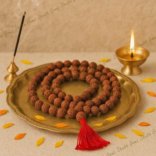 Shubh Gems 5 Mukhi Rudraksha Mala