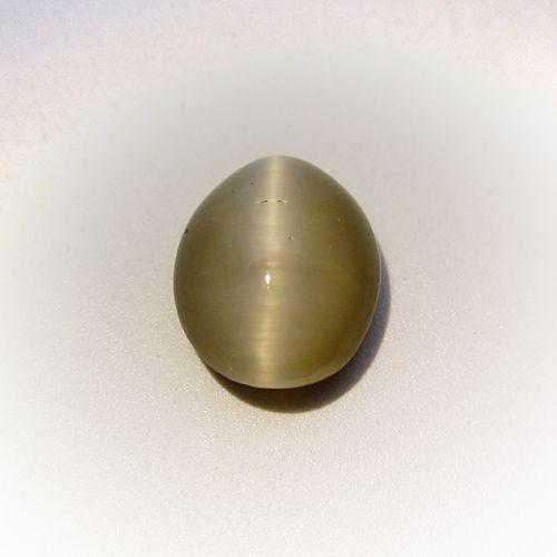 Cat's Eye - 6.92 Carat