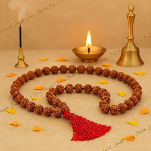 8 Mukhi Rudraksha Mala