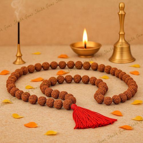 9 Mukhi Rudraksha Mala