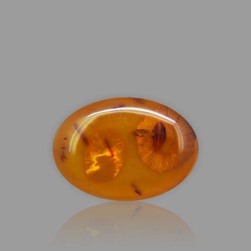 Amber Gemstone - 4.40 Carat