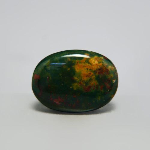 Bloodstone - 22.37 Carat 
